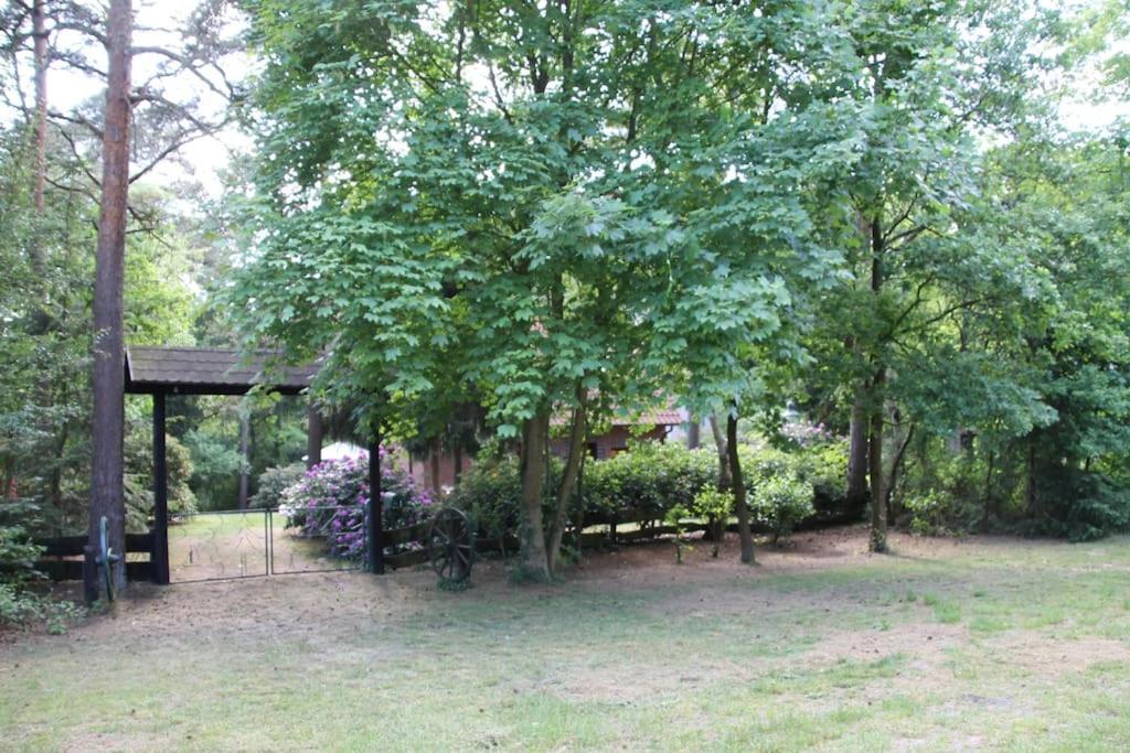 Ferienhaus Am Waldesrand Hatten 外观 照片
