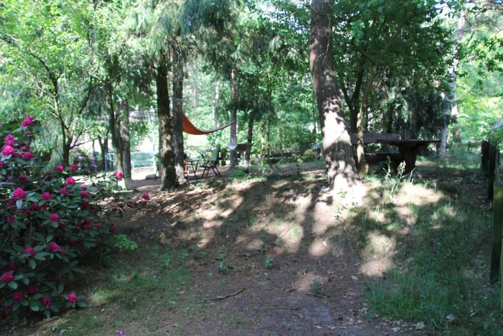 Ferienhaus Am Waldesrand Hatten 外观 照片
