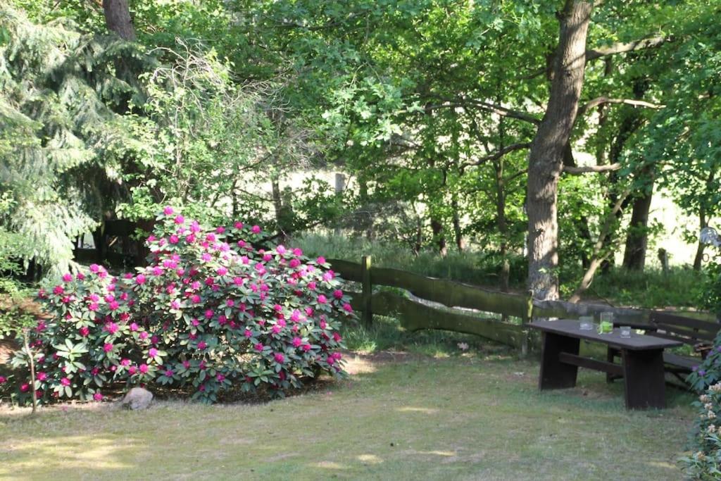 Ferienhaus Am Waldesrand Hatten 外观 照片