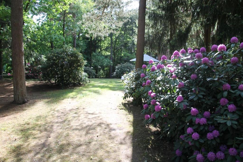 Ferienhaus Am Waldesrand Hatten 外观 照片