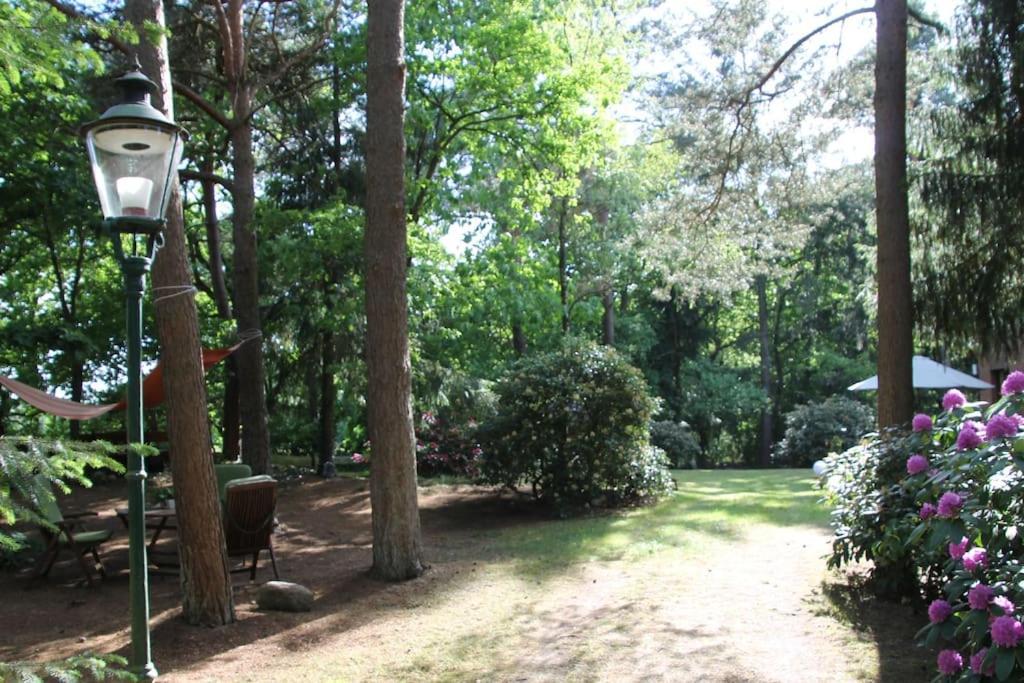 Ferienhaus Am Waldesrand Hatten 外观 照片
